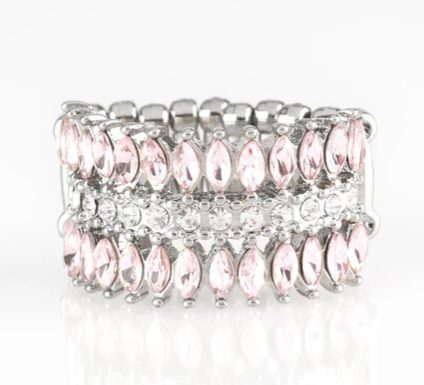Treasury Fund - Pink