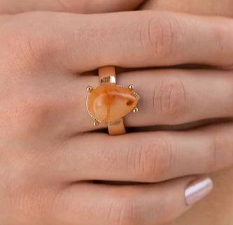 Marbled Moderator Orange